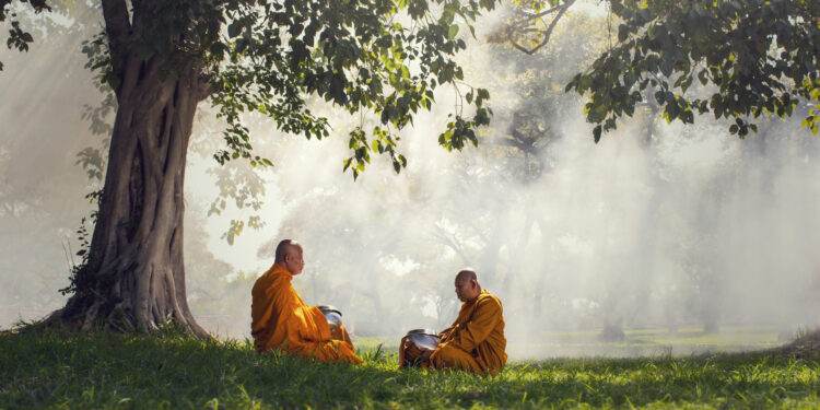 Two monks meditation under the trees with sun ray, Buddha religion concept