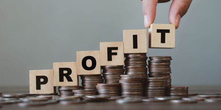 Profit afaceri diversificate