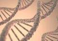 Misterul ADN-ului - originea umanitatii