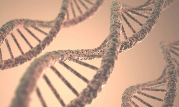 Misterul ADN-ului - originea umanitatii